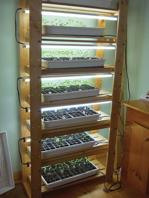 Arbor Diy, Serre Diy, Bbq Garden, Indoor Vegetables, Lots Of Plants, Hydroponic Farming, Indoor Greenhouse, Starting Seeds Indoors, Vegetable Garden Diy