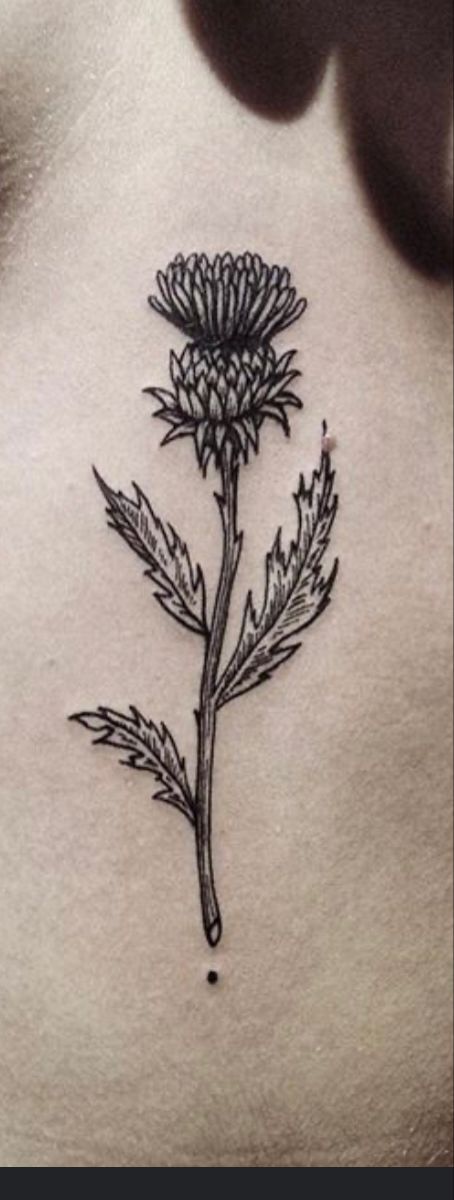 Tattoo Flower Sleeve, Scotland Tattoo, Scottish Thistle Tattoo, Scottish Tattoo, Scottish Tattoos, Thistle Tattoo, 16 Tattoo, Half Sleeve Tattoos Drawings, Flower Sleeve