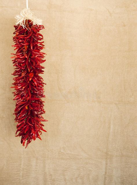 Chile Ristra, Kali Puja, Southwest Wedding, Fiesta Wedding, Red Chile, Feed Insta, Santa Fe Style, Insta Feed, Wedding Deco