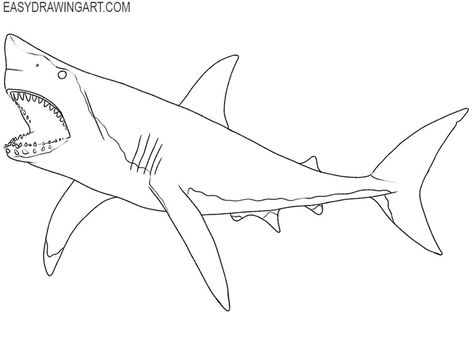 how to draw a megalodon for beginners Megalodon Drawing, Cardboard Animals, Shark Drawing, Animal Ideas, Megalodon Shark, Senior Overalls, Shark Art, Jungle Animals, Jurassic World