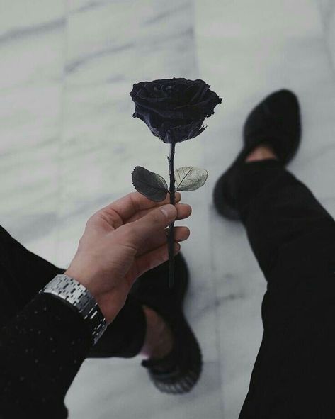 Black Rose, A Black, Black