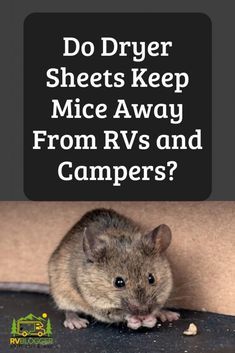 Rv Essentials, Rv Winterizing, Camper Maintenance, Mice Repellent, Rv Camping Tips, Camper Hacks, Travel Trailer Camping, Rv Repair, Rv Maintenance