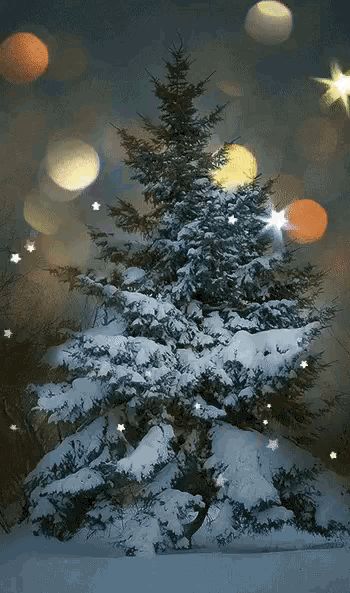 Christmas Tree Gif, Xmas Gif, Merry Christmas 2023, Beautiful Christmas Scenes, Winter Christmas Scenes, Beautiful Winter Scenes, Merry Christmas Gif, Merry Christmas Pictures, Happy December