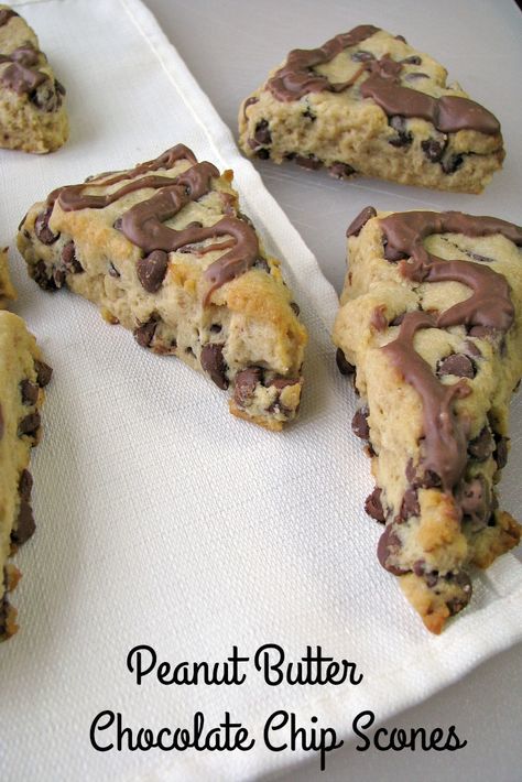 Peanut Butter Chocolate Chip Scones, Peanut Butter Biscotti Recipe, Gourmet Scones, Peanut Butter Scones, Chocolate Chip Scones, Scone Recipes, Crazy Kitchen, Chocolate Scones, Scones Recipe Easy