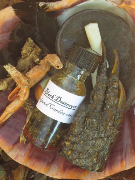 Black Destroyer Oil- Hoodoo, Voodoo, Witchcraft-Destroys Tricks, Curses, and Hexes | Conjured Cardea Curses And Hexes, Voodoo Shop, Black Magic For Love, Hoodoo Magic, Voodoo Rituals, Throbbing Headache, Conjure Oil, Traditional Healer, Ritual Magic