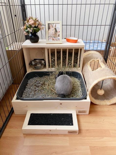 Bunny Pens Indoor, Rabbit Apartment Set Up, Bunny Set Up Indoor Small Room, Bunny Indoor Habitat, Bunny Area Indoor, Bunny House Indoor Diy, Rabbit Habitat Indoor, Rabbit House Diy, Rabbit Room Ideas