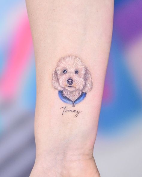 Cockapoo Tattoo Ideas, Maltipoo Tattoo Ideas, Poodle Outline Tattoo, Cavapoo Tattoo, Maltipoo Tattoo, Bichon Tattoo, Cockapoo Tattoo, Poodle Dog Tattoo, Poodle Tattoo Ideas