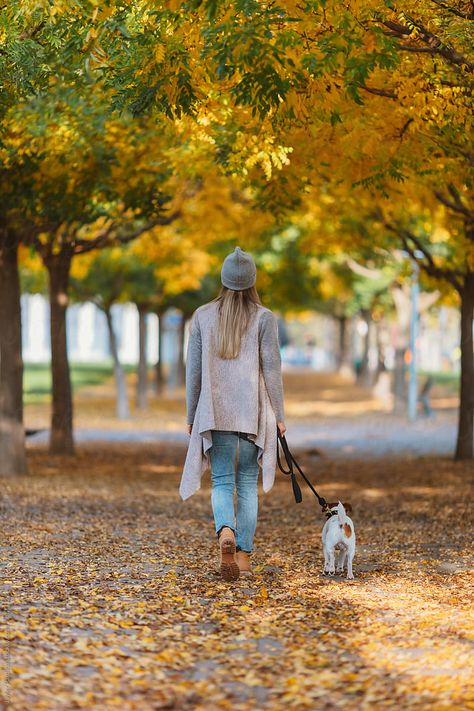 woman walking with her dog on park at autumn by Javier Pardina for Stocksy United Dog Photography Poses, Animal Photoshoot, Walking Women, Photos With Dog, Dog Poses, Dog Photoshoot, Me And My Dog, Dog Branding, Fall Photoshoot