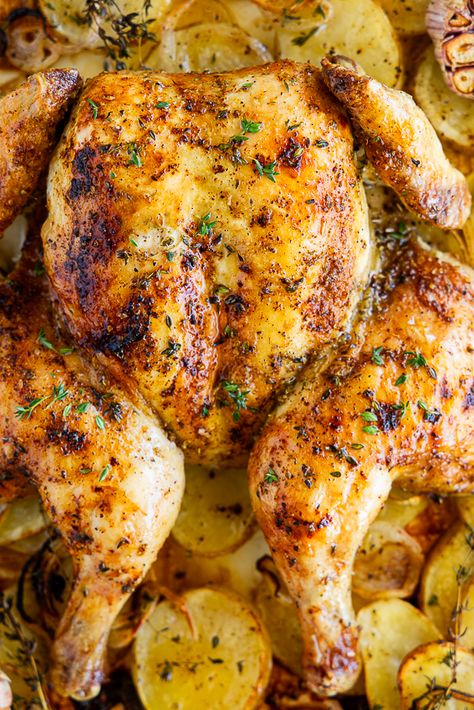 Best Whole Chicken Recipe Ovens, Roast Whole Chicken Recipes, Whole Chicken Recipes For Dinner, Recipes For Whole Chicken, Bake Whole Chicken In Oven, Whole Young Chicken Recipes, Baked Whole Chicken Recipes Oven, Whole Roasted Chicken Oven, Roasted Whole Chicken Oven