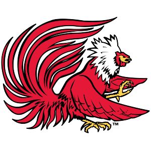 Gamefowl Logo, Jacksonville State University, Gamecocks Logo, Gamecocks Football, Logo Shapes, Dorm Art, Sports Team Logos, College Logo, Sports Logos