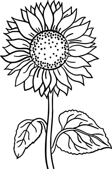 Sunflower Coloring, Sunflower Coloring Pages, Printable Flower Coloring Pages, Sunflower Drawing, Sunflower Colors, Sunflower Pictures, Doodle Ideas, Flower Coloring Pages, Free Printable Coloring