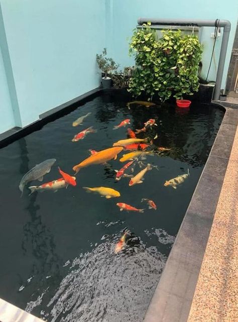 Modern Pond, Outdoor Fish Ponds, Garden Pool Design, Koi Pond Design, Kolam Koi, Taman Air, Indoor Water Garden, Relaxing Backyard, Garden Pond Design