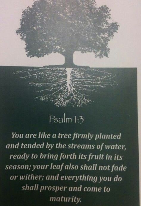 Psalm 1 Tattoo, Tree Planted By Streams Of Water, Psalm 1:3 Trees, Psalm 1 1-3, Psalm 1 3, Lifestyle Challenge, Tattoo Ideas For Guys, Online Prayer, Psalm 1