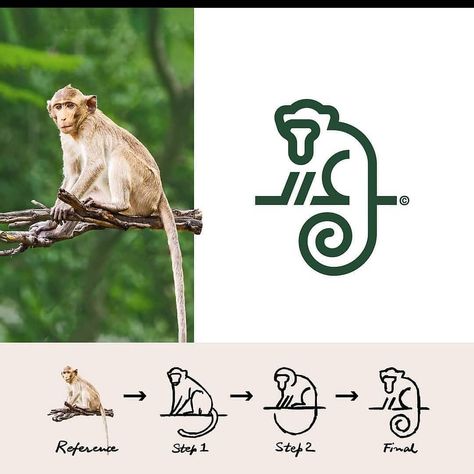 Monkey Logo Design, Logo Sketch Design, Ali Akbar, Behance Illustration, Monkey Logo, Minimal Graphic, Inspiration Logo Design, Logo Sketches, Illustrator Drawing