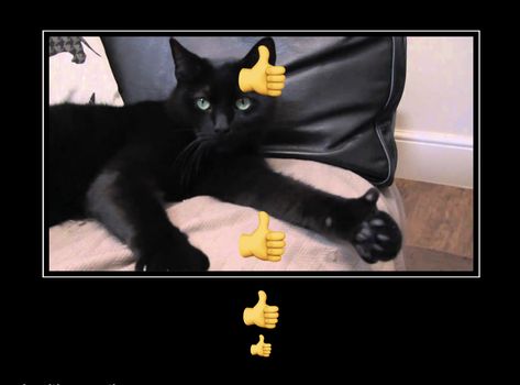 Thumbs Down Reaction Pic, Cat Thumbs Up Reaction Pic, Cat Thumbs Up, Thumbs Up Reaction Pic, Cat With Thumbs, Goofy Reaction, Cat Reaction Pics, Cat And Rat, Cats To Draw