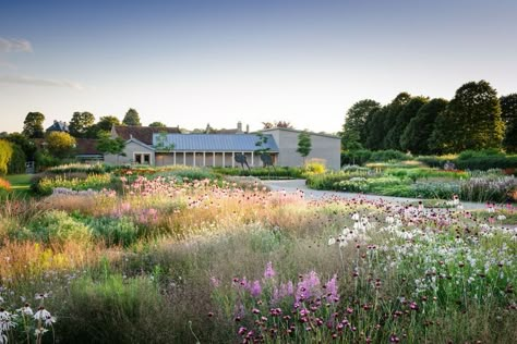 Wild Gardens, Native Landscaping, Versailles Garden, Atlanta Botanical Garden, Piet Oudolf, Prairie Garden, American Garden, Permaculture Gardening, Planting Design