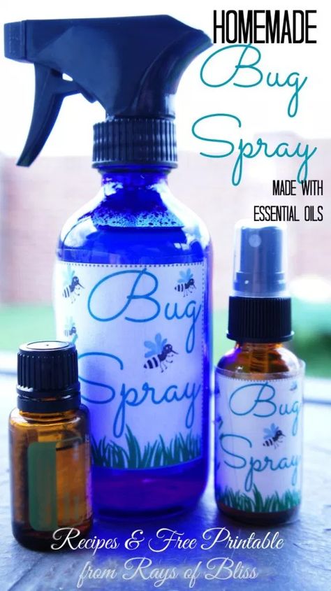 Essential Oils Homemade Bug Spray with Free Printable - Rays of Bliss Homemade Mosquito Repellent, Young Living Purification, Essential Oil Bug Spray, Mosquito Repellent Homemade, Homemade Bug Spray, Diy Bug Spray, Homemade Essential Oils, Natural Bug Repellent, Diy Cleaning Products Recipes