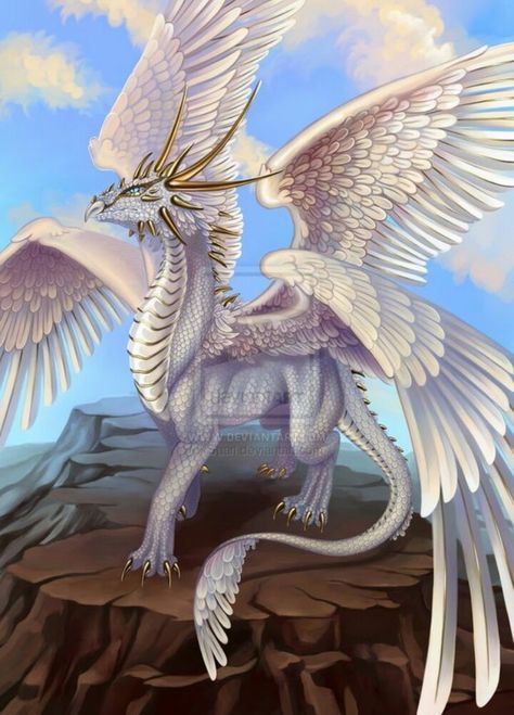 I always referred female dragons as ones with feathered wings Dragon With Wings, Feathered Dragon, Angel Dragon, Cool Dragons, Fairy Dragon, Digital Art Gallery, Beautiful Dragon, Dragon Pictures, Dragon Wings