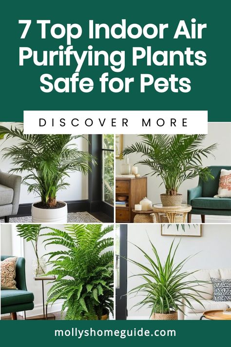 Looking to add some greenery to your home while keeping your pets safe? Check out these best indoor plants that are air purifiers and pet-friendly. These non-toxic houseplants are safe for dogs, cats, and kids. Create a healthier indoor environment with these pet-safe plants that help clean the air. Must-have indoor plants for any household looking to purify the air without compromising on the safety of pets and children. Nontoxic Plants For Cats, Cat Friendly Plants Indoor, Best Indoor Plants Air Purifier, Safe Plants For Cats, Plants Safe For Pets, Dog Safe Plants, Cat Friendly Plants, Toxic Plants, Cat Safe Plants