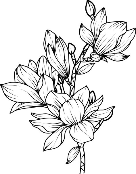 Magnolia Drawing, Printable Drawings, Phone Case Diy Paint, Flower Sketch, Black And White Line Art, White Line Art, Magnolia Flowers, Wood Carving Designs, Flower Sketches