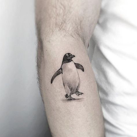 Micro Realism, Line Drawing Tattoos, Wildlife Tattoo, Penguin Tattoo, Tier Tattoo, Realism Tattoos, Cool Chest Tattoos, Omerta Tattoo, Penguin Art