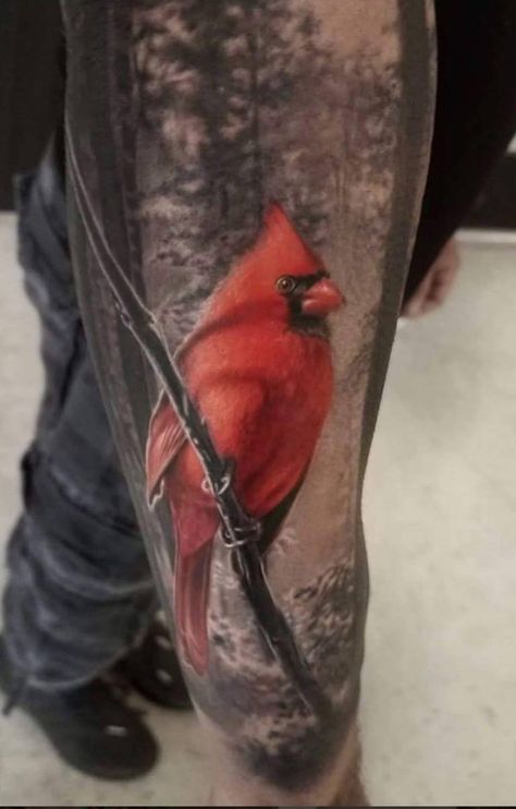 Cardnial Tattoo, Cardinal Bird Tattoos, Red Cardinal Tattoos, Bird Tattoo Sleeves, Cardinal Tattoo, Cardinal Tattoos, Nature Tattoo Sleeve, Remembrance Tattoos