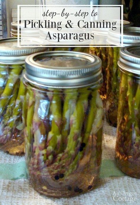 Your step-by-step to pickled and canned asparagus Canning Asparagus, Food Preparedness, Pickle Vodka, Pickled Asparagus, Canning Salt, Water Bath Canning, Pressure Canner, Home Canning, Asparagus Recipe