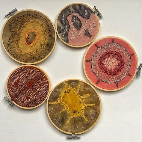 Linocut Inspiration, Nature Embroidery, A Level Textiles, Anatomy Sculpture, Biology Art, Embroidery Hoop Wall Art, Textiles Artwork, Bio Art, Embroidery Hand