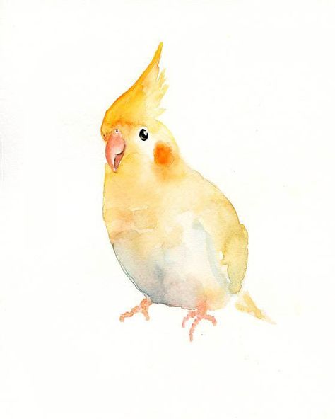 Selling Art Online, Contemporary Abstract Art, Bird Drawings, Art And Illustration, Bird Illustration, Watercolor Bird, Abstract Photography, Watercolor Animals, Birds Painting