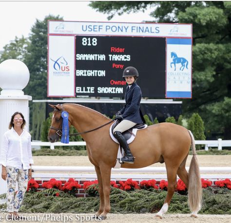 Victory Aesthetic, Pony Finals Hunters, Horse Riding Show Jumping, Pony Hunters, Pony Finals, Pony Hunter Jumper, Hunter Jumping, Hunter Horse, Horsey Life