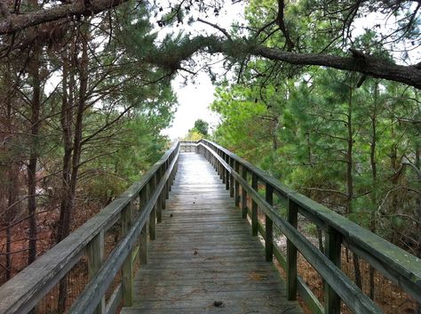 Cape Charles Virginia, Chesapeake Bay Bridge, Cape Charles, Beach Path, Eastern Shore, Chesapeake Bay, Beach Lovers, Virginia Beach, Bay Bridge