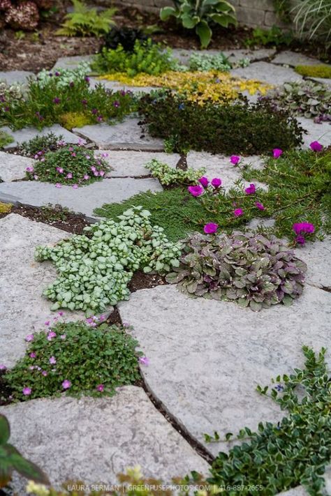 Landscape Sidewalk, Sidewalk Landscape, Path Edging, Backyard Renovation, Gardening Backyard, Garden Pavers, Bohemian Garden, Landscape Designers, Path Design