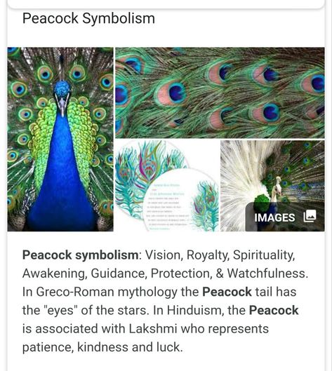 Peacock Symbolism Peacock Meaning Symbols, Peacock Spirit Animal, Peacock Tattoo Meaning, Peacock Spiritual Meaning, Peacock Meaning, Peacock Feather Meaning, Meditation Signs, Peacock Quotes, Peacock Symbolism