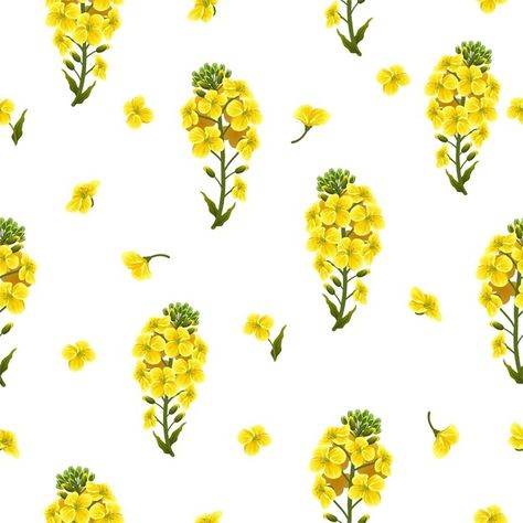 Canola Flower, Free Vector Patterns, Credit Card Design, Tropical Floral Pattern, Flower Watercolor, Spring Landscape, Hand Drawn Flowers, Pattern Flower, Pink Blossom