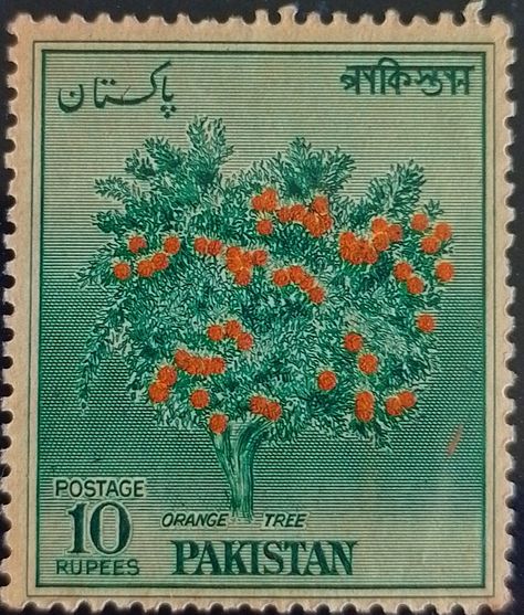 Pakistan Stamp, Old Pakistan, Pakistan Art, Pakistani Art, South Asian Aesthetic, Pakistani Culture, Mythical Animals, Old Stamps, Postage Stamp Art