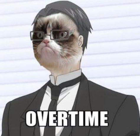 OVERTIME WILLIAM T GRUMPY MEME by UnknownPaws on @DeviantArt Working Overtime Meme, Overtime Meme, Grumpy Meme, Working Overtime, Deviantart, Memes, Like Button, Saying Goodbye, Movie Posters