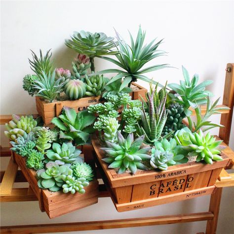 Cheap Artificial Plants, Buy Directly from China Suppliers:Artificial Succulent Landscape Lotus Flower Arrangement Christmas Wedding Party Supplies Fake Plants Home Garden Decoration Enjoy ✓Free Shipping Worldwide! ✓Limited Time Sale ✓Easy Return. Plant Wall Diy, Succulent Landscape, Plant Party, Succulent Bonsai, Succulent Landscaping, Fake Succulents, Mini Succulents, Artificial Succulents, Box Wood