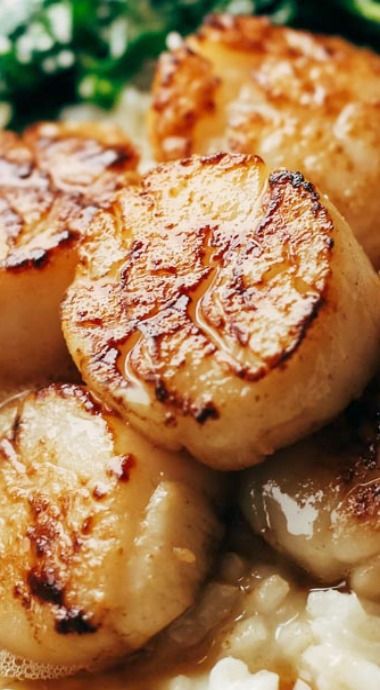 Brown Butter Scallops with Parmesan Risotto Brown Butter Scallops, Butter Scallops, Gordon Ramsey Recipes, Seafood Scallops, Parmesan Risotto, Beer Battered, Guinness Beer, Battered Fish, Scallop Recipes