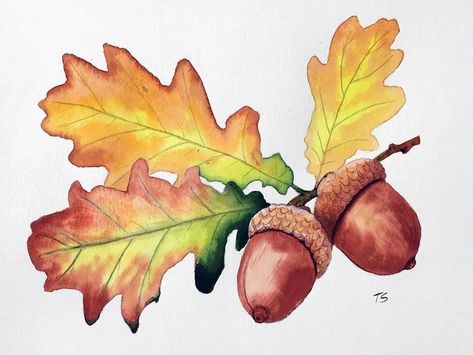 Painting Of Leaves, Acorn Drawing, Acorn Painting, Watercolor Autumn Leaves, Fall Drawings, Diy Watercolor Painting, Leaf Drawing, Fall Watercolor, Watercolor Flower Art