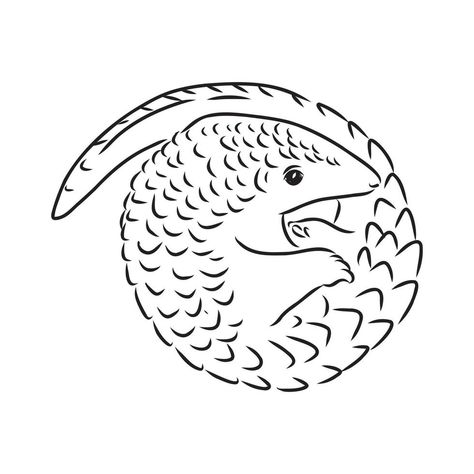 Pangolin Tattoo, Greenwood Furniture, Pangolin Drawing, Pangolin Illustration, Pangolin Art, Lil Sketches, Ig Highlights, Vector Sketch, Insect Art