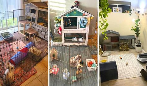 Rabbit Cage Setup, Cages For Rabbits, Indoor Rabbit Cage, Rabbit Litter, Rabbit Litter Box, Bunny Hutch, All About Rabbits, Indoor Rabbit, Rabbit Cages