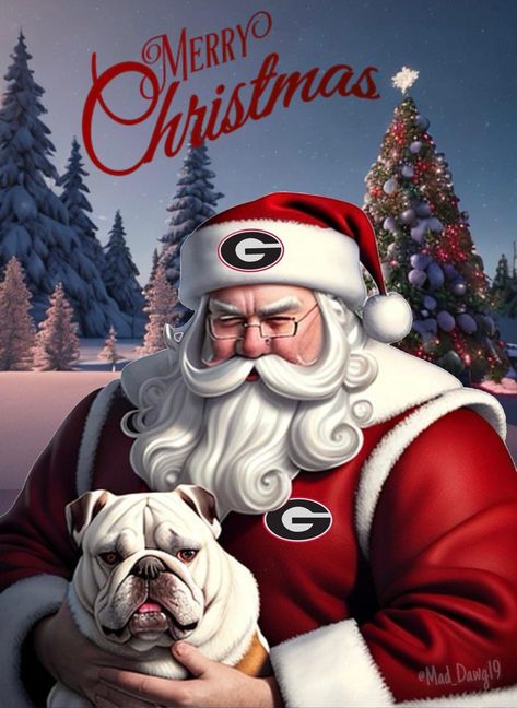 Uga Bulldog Drawing, Uga Football Iphone Wallpaper, Ga Bulldog Christmas Tree, Georgia Bulldogs Quotes, Ga Football, Georgia Bulldog Mascot, Georgia Christmas, Bulldog Wallpaper, Georgia Bulldawgs