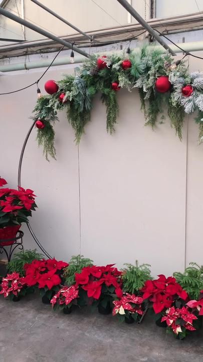 Wreath Photo Backdrop, Round Christmas Backdrop, Christmas Event Photo Backdrop, Circle Backdrop Christmas, Christmas Backdrops Ideas, Round Arch Christmas Decor, Christmas Circle Arch Backdrop, Christmas Wreath Backdrop, Christmas Floral Arch