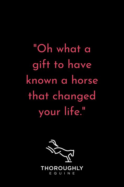 A pink quote on a solid black background. The quote reads "Oh what a gift to have known a horse that changed your life." There is a white Thoroughly Equine logo at the bottom of the image with a simple outline of a bucking horse. Horse Life Quotes, Equestrian Life Quotes, Heart Horse Quote, Equine Therapy Quotes, Equestrian Quotes Inspirational, Horse Quotes Meaningful Short, Horse Quotes Meaningful, Horse Girl Quotes, Horse Love Quotes