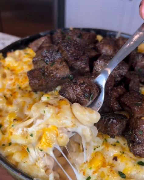 Food Prep Gram on Instagram: "Garlic Butter Steak Bite Mac & Cheese 🧀🥩 by @eatwitzo  Is it just me or does steak and mac & cheese just go together? The perfect meal if you want to impress someone or simply just eat good!!   Full ingredient list:  1-2 lb steak cut into 1-2 inch cubes  1-2 tsp onion powder 1-2 tsp black pepper 1-2 tsp dried oregano  1-2 tsp salt  1-2 tbsp garlic paste or minced garlic  1/2 stick butter  Parsley to garnish  For mac & cheese:  8 oz colby jack 8 oz white cheddar  16 oz @carnationmilks evaporated milk  1-2 tsp smoked paprika 1-2 tsp garlic powder 1-2 tsp black pepper 1-2 tsp salt  Cooked macaroni noodles  Extra cheese to place on top" Steak Bites And Mac And Cheese, Garlic Butter Steak Bites With Parmesan Cheese Sauce, Garlic Steak Bites And Cajun Mac, Steak Mac And Cheese, Garlic Butter Steak Bites Mac And Cheese, Cajun Garlic Steak Bites Mac N Cheese, Garlic Butter Steak Bite Mac And Cheese, Egg Custard Recipes, Garlic Steak