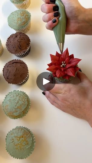 222K views · 4.7K reactions | Poinsettia ❤️✨ 
Such a simple flower to learn and a great addition to your Christmas cupcake range! 
Use a Wilton 366 for the large petals and a 352 for the smaller middle ones. 
You will need a fairly stiff buttercream with minimal air bubbles for that smooth finish. You can get my exact recipe on the website currently 50% off in the Black Friday sale ☺️💖
.
#cake #cupcakes #flowers #buttercreamflowers #piping #poinsettia #christmascupcakes #christmas #xmascupcakes #buttercream #pipingtechniques #baking #xmas #xmascake #christmascake #petalsbakehouse | Petals Bakehouse Poinsettia Cupcakes, Red Christmas Flower, Cupcake Decorating Techniques, Cupcakes Christmas, Christmas Content, Decorated Cupcakes, Christmas Cupcake, Floral Cupcakes, Xmas Cake