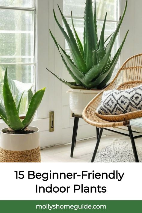 Looking to start your indoor plant journey? Explore the top 10 indoor plants for beginners that are easy to grow and require minimal maintenance. Discover houseplants that thrive in low light conditions and don't need fertilizer. These easy-to-grow indoor houseplants will add a touch of green to your space effortlessly. Whether you're a beginner or have a brown thumb, these indoor plants are perfect for adding some nature indoors. Low Light Plants Indoor, Easy Plants To Grow Indoors, Houseplants Aesthetic, Best Indoor Plants For Beginners, Indoor Plants For Beginners, Plants For Beginners, Indoor Plants Low Light, Easy Plants To Grow, Plant Care Houseplant