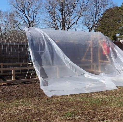 Couple shows how to build beautiful but simple greenhouse using cattle panels Cow Panel Greenhouse, Cattle Panel Greenhouse Plans, Cattle Panel Chicken Coop, Cattle Panel Greenhouse, Hoop Greenhouse, Raised Container Garden, Campsite Ideas, Simple Greenhouse, High Tunnel