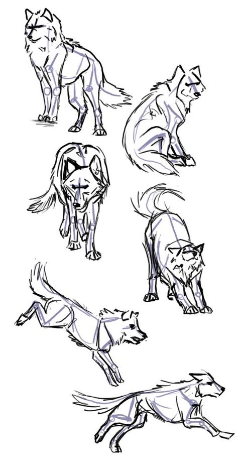 Wolf Poses, Wolf Sketch, Couple Drawing, Drawing Eyes, 강아지 그림, Wolf Drawing, Drawing Faces, Animal Sketches, Wolf Art