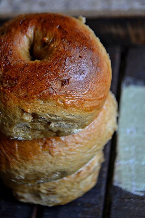 Gingerbread Bagels | #bagel Gingerbread Bagels, Red Star Yeast, Homemade Bagels, Bagel Recipe, Bread Roll, Bread Rolls, Quick Bread, Red Star, Pretzels